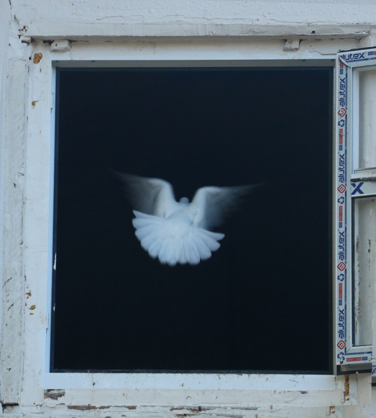 Привидение