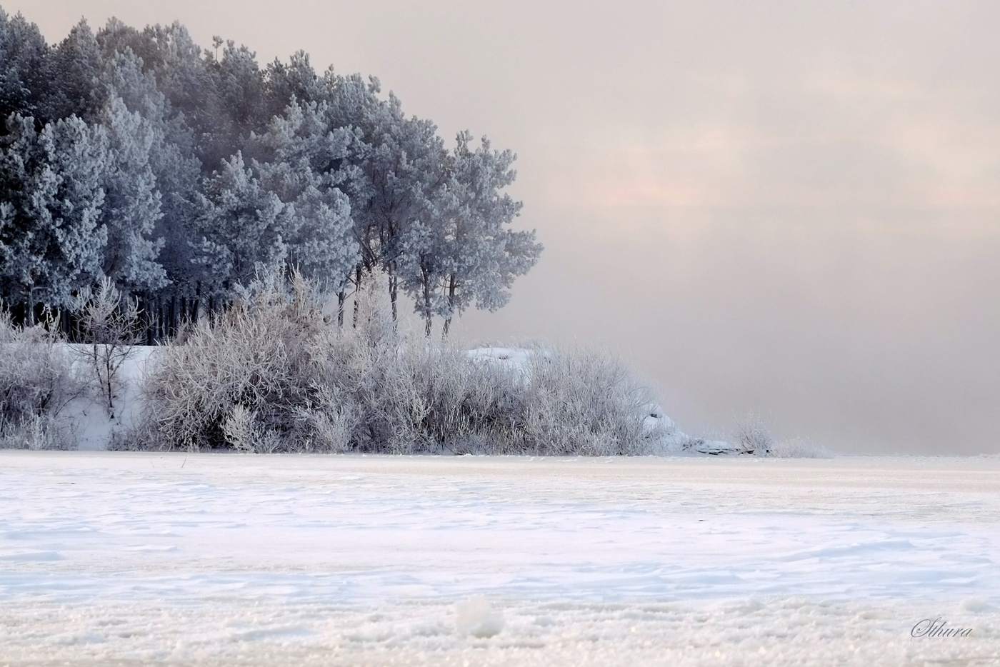 Морозное утро.