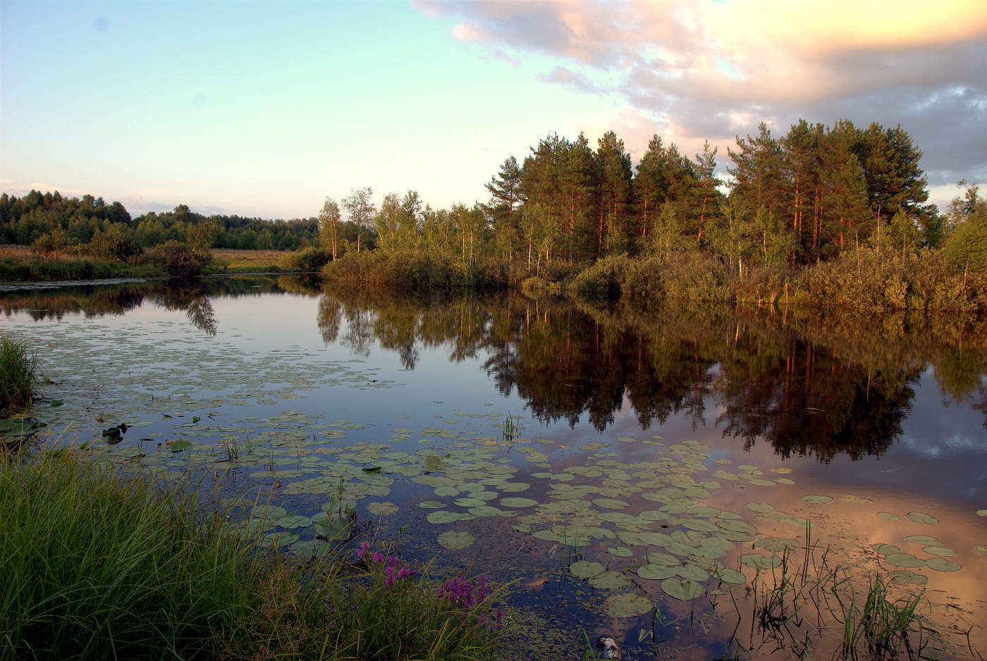 Дело было вечером.