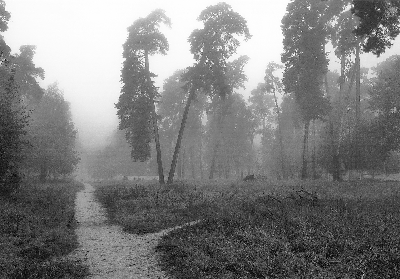 унылая пора