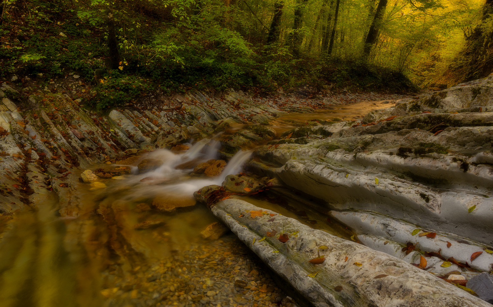 По каменным ступенькам