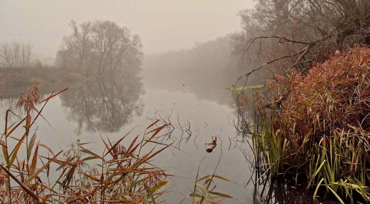 Ноябрь затуманенный