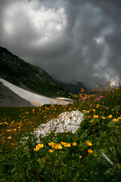 крылья Абхазии