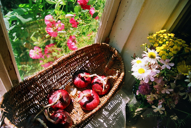 на даче летом