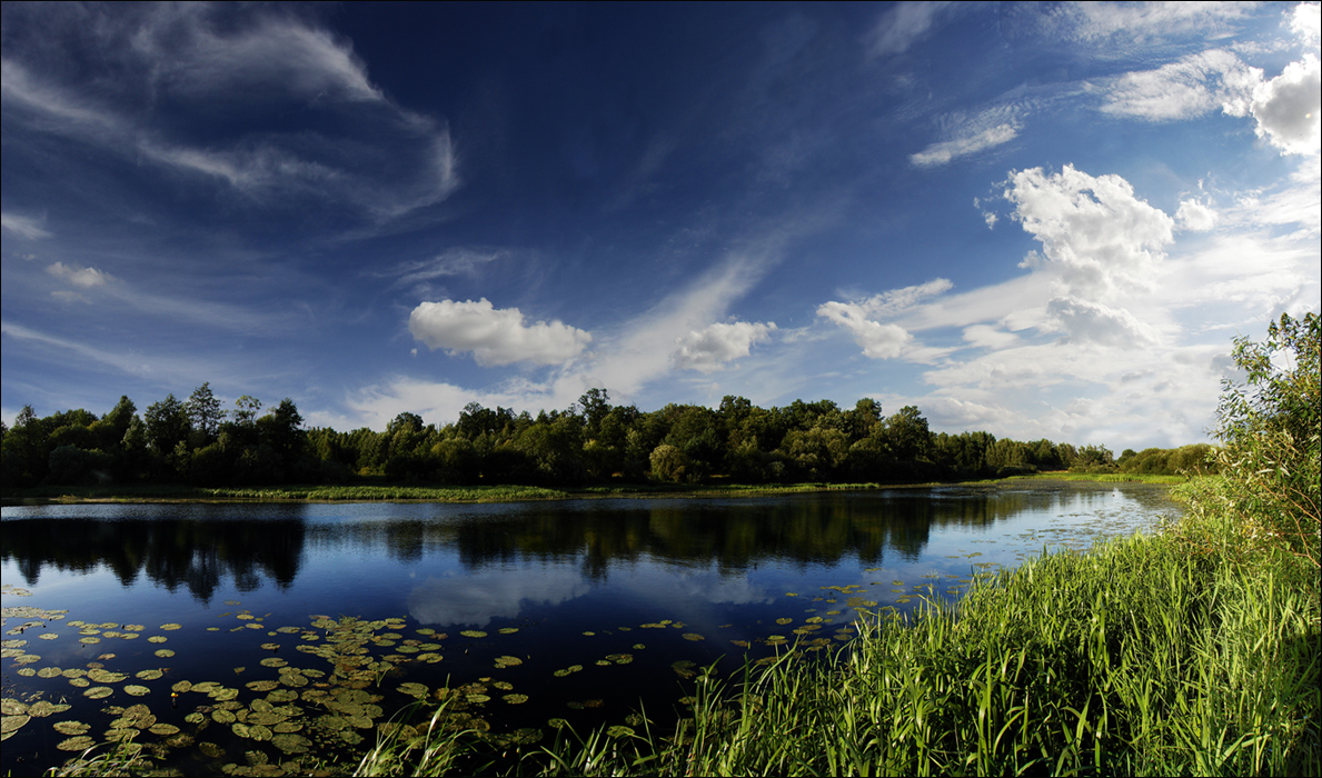 Августовская синева...