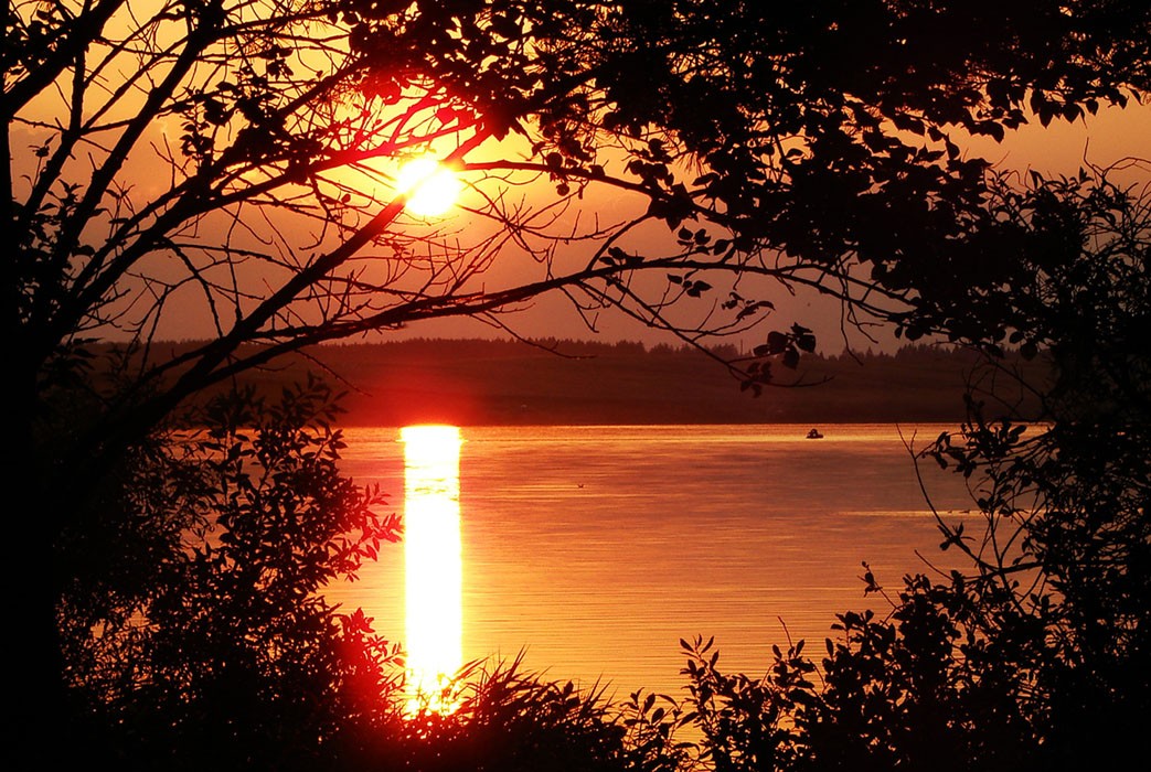 Взгляд в окно уходящего дня