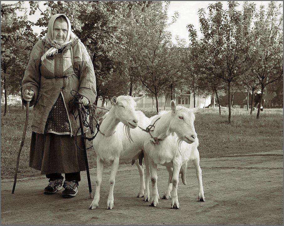 На прогулке.