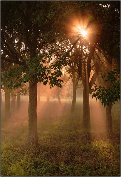 Утренний,осенний