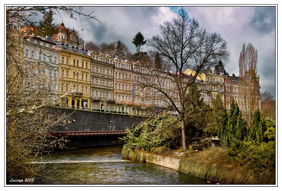 Разнообразие