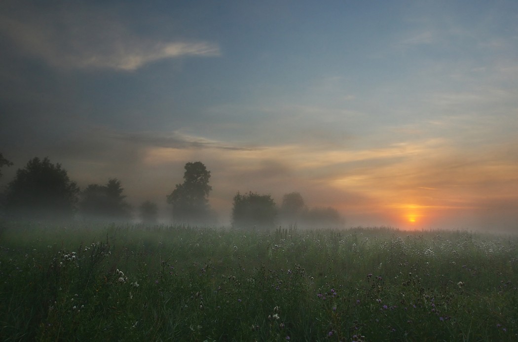 утро красит...