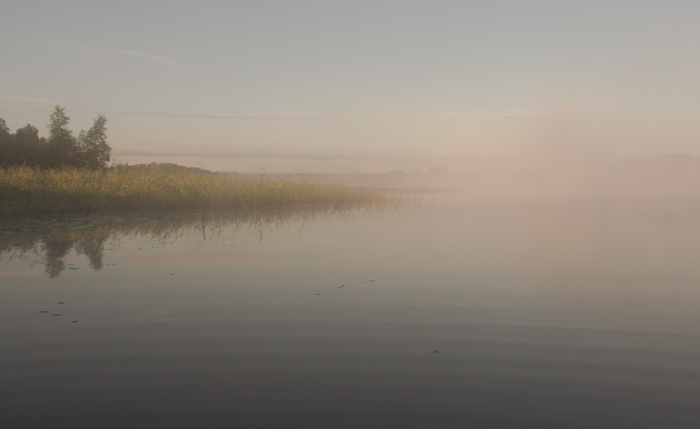 и тишина кругом....