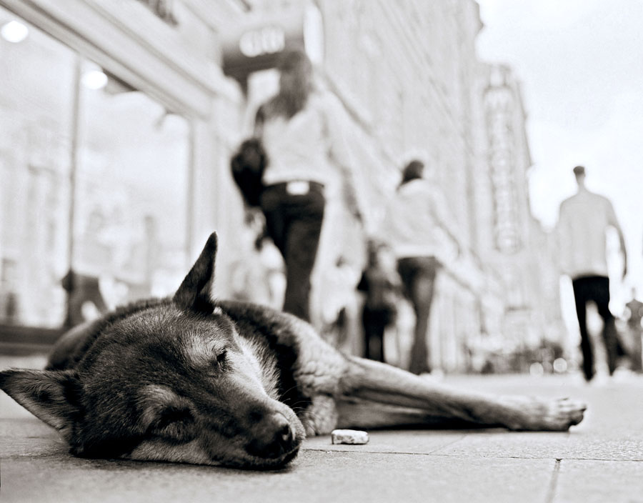 Пол часа на сон