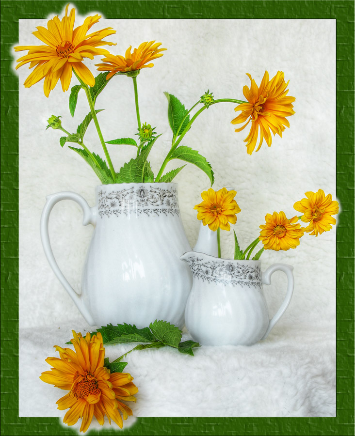 Натюрморт с рыжими ромашками