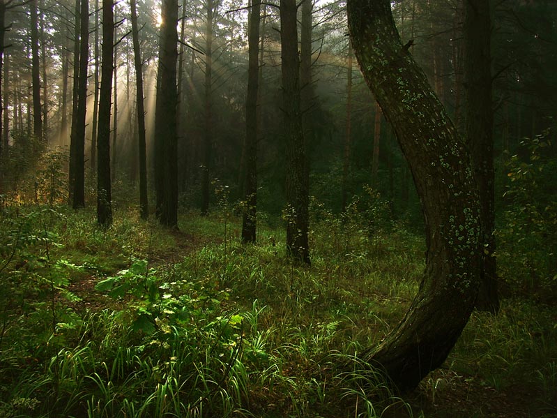 Восход солнца