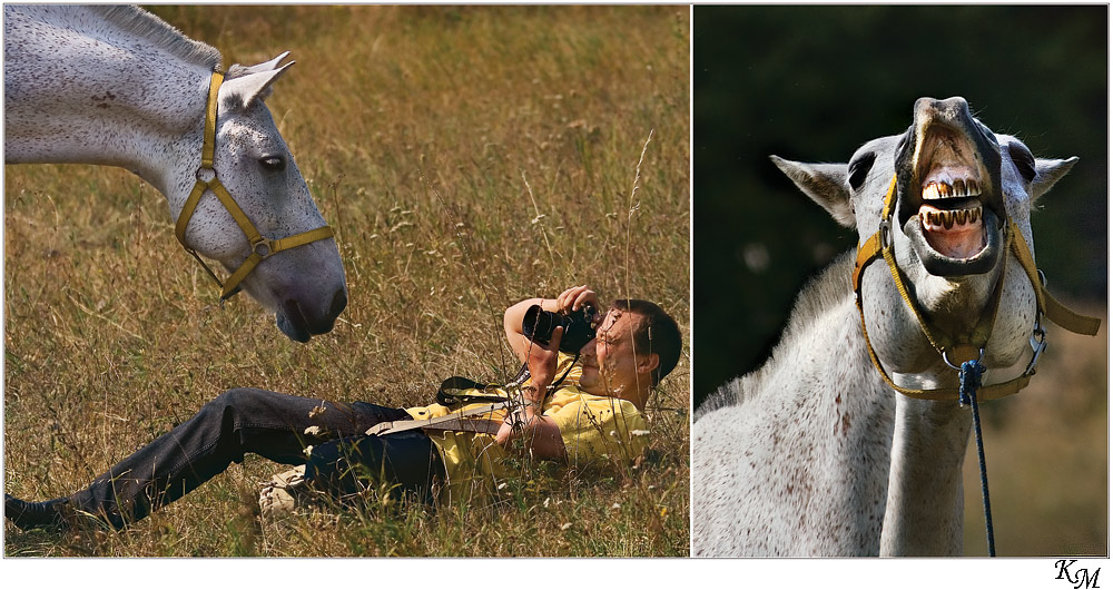 - Так говоришь "Улыбочку"?