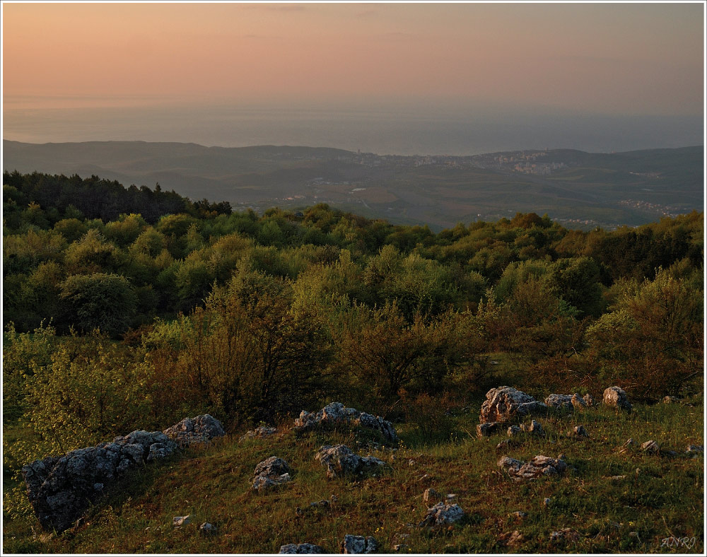 Пока все спят...