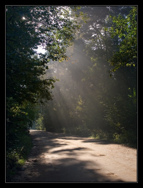 Единство света и тени...