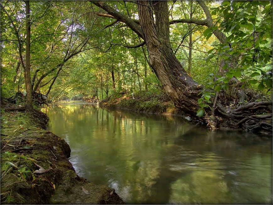 Дзе-та Лета..?