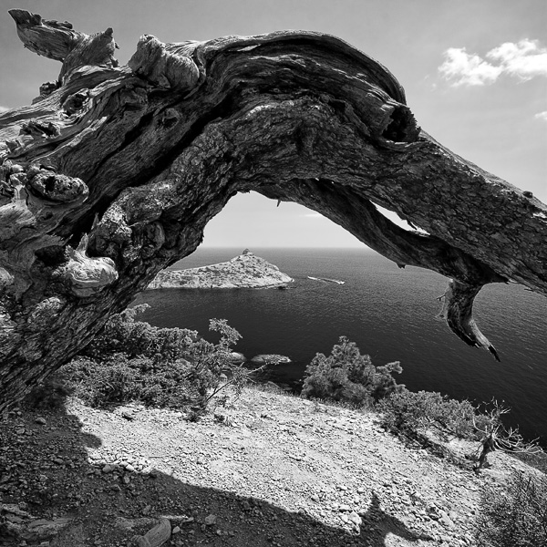 Драконы мыса "Капчик"