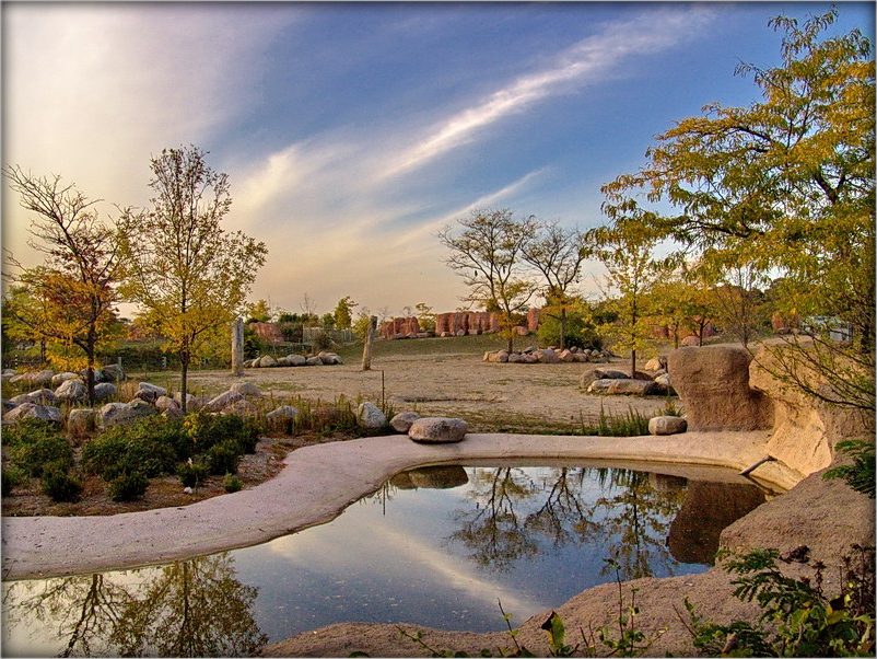 Бонифаций уехал... :)