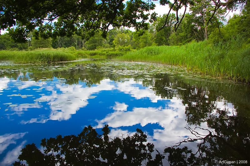 Вспоминая лето...