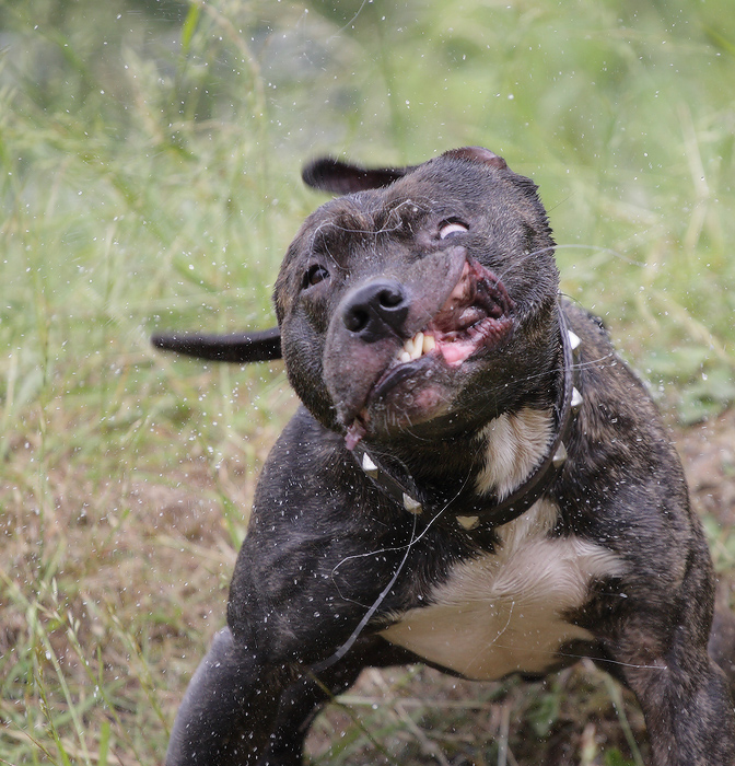 ни фига себе чихнул!