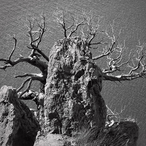 Могучий Мудрый Древний "Шива"