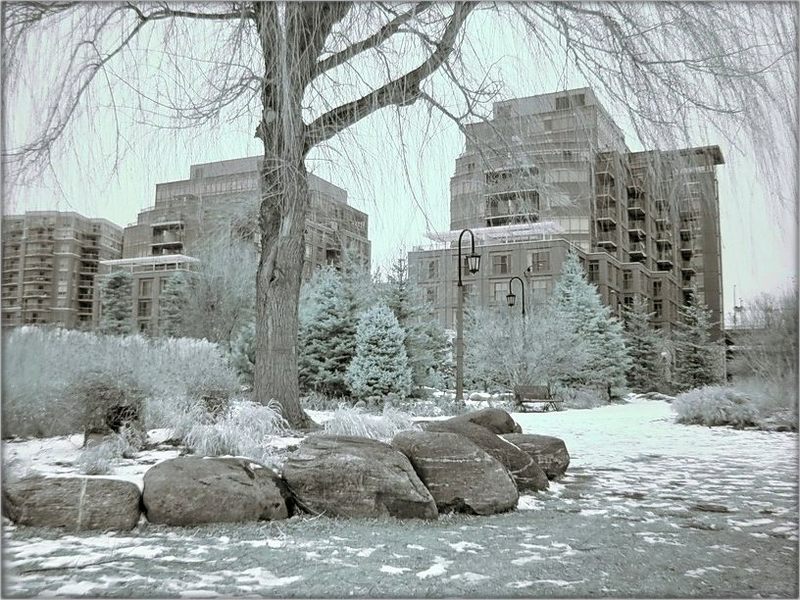 ..жыву чаканьнем сьнегу..