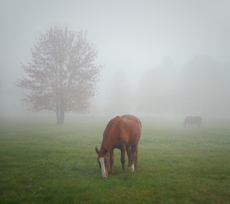 Да тут, в принципе, название и не нужно...