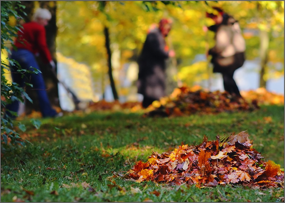 Люди убирают прошедшее лето