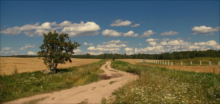 А там впереди, а там впереди..