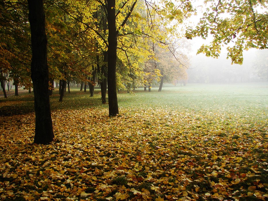 Осеннее дыхание
