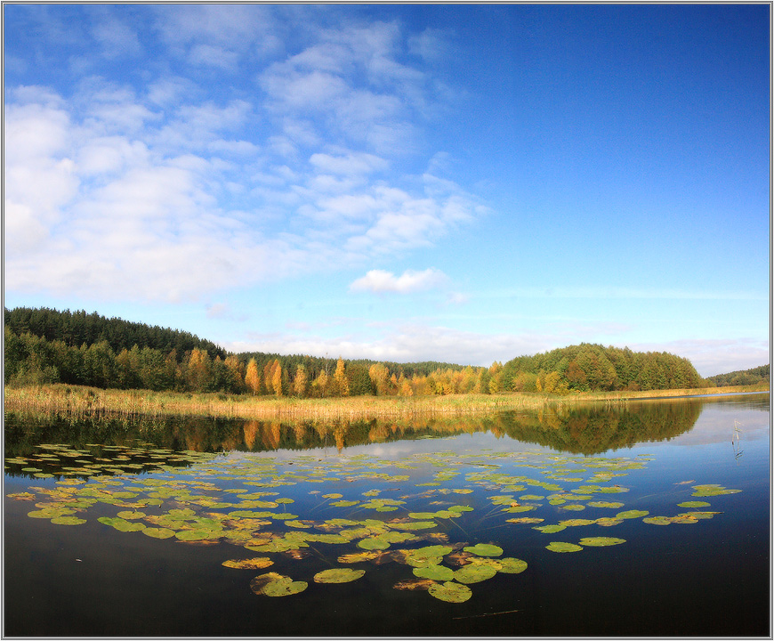 когда сошел туман