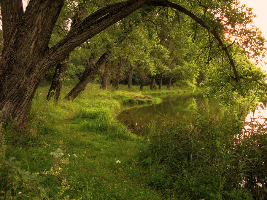 каля возера