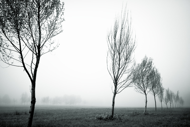 Время, когда всегда туманы