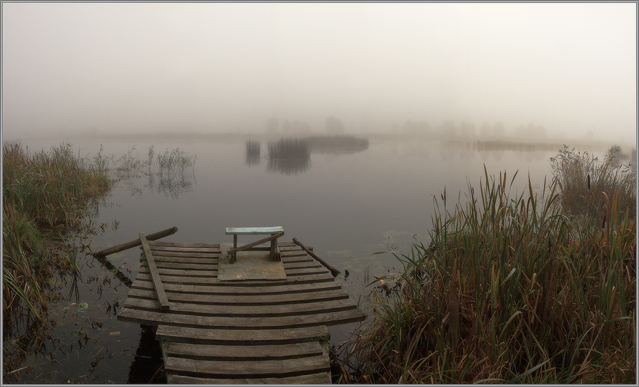 глядя в туманную даль