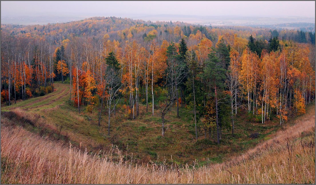 Улыбчивый взгляд осени