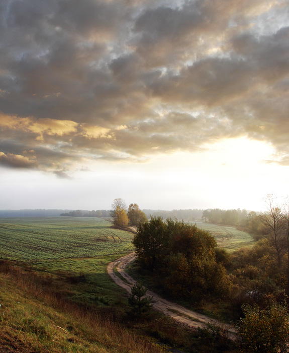 По дороге за туманом