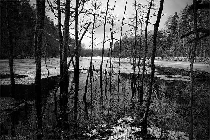 Черное озеро