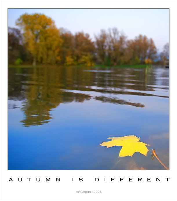 Такая разная осень...