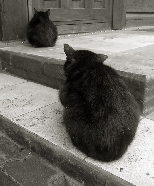 очередь. часть 2