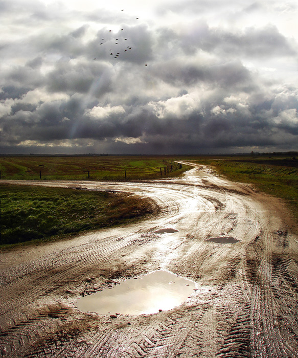 Распутье. Дактилоскопия осенних дорог.