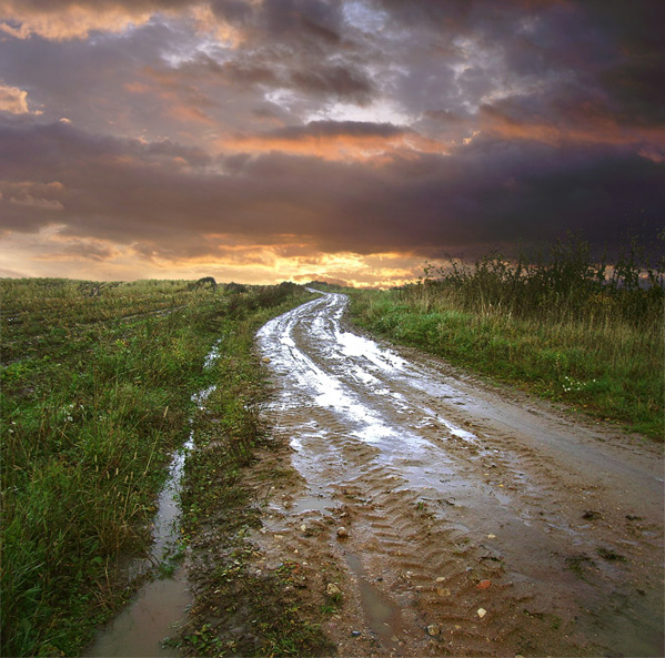 Дактилоскопия осенних дорог