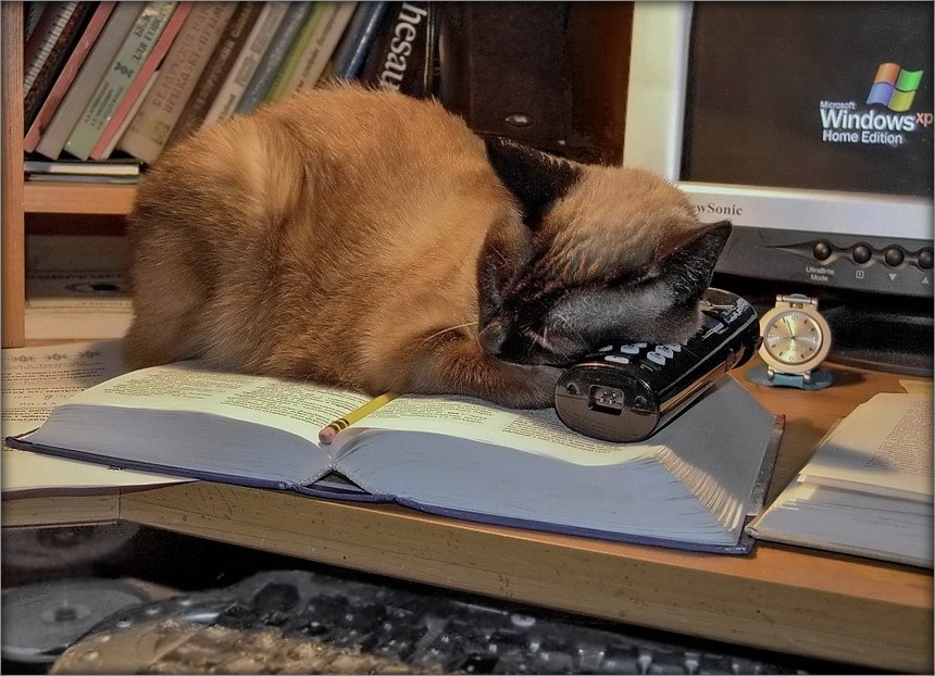 Штирлиц знал, что через 20 минут его разбудит .....