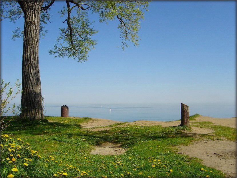 месцейка для сузіральнасці