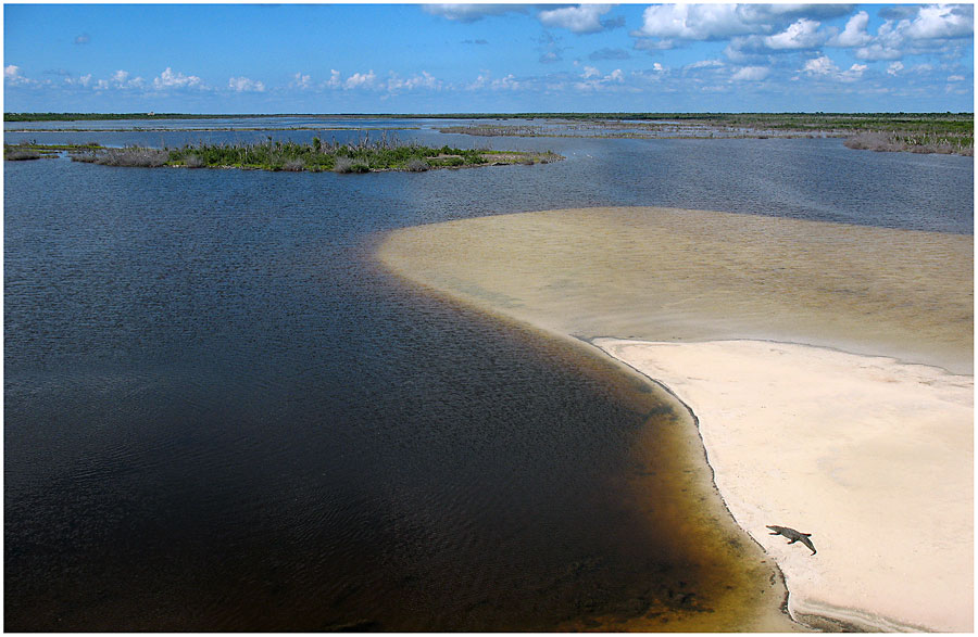 Про монополизм на пляже...
