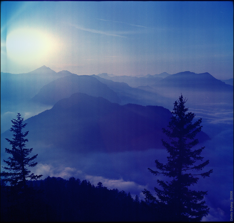 не у всего есть имена и названия