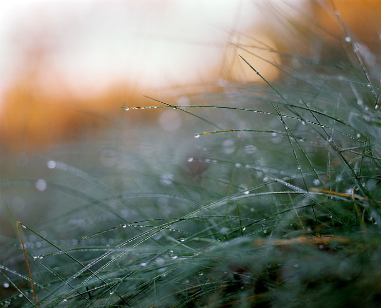 Немного тишины