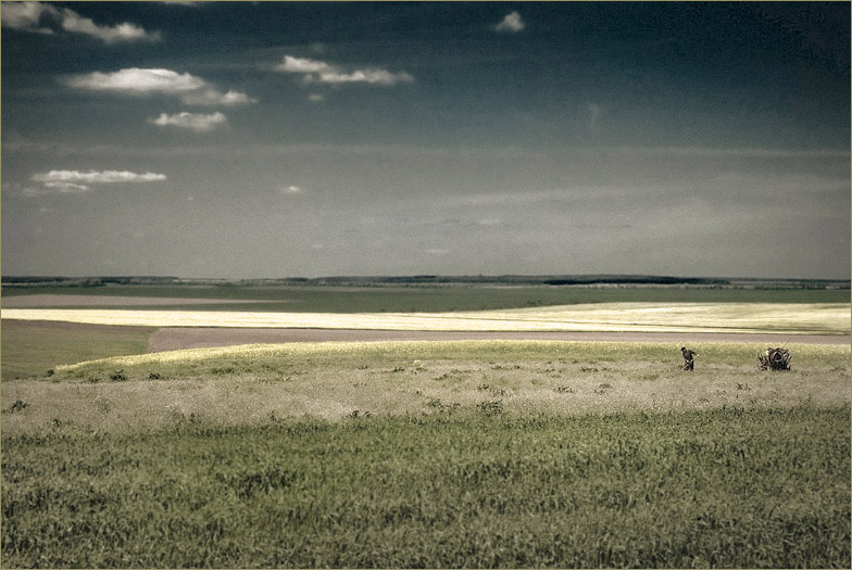 Смутное Воспоминание о Лете...