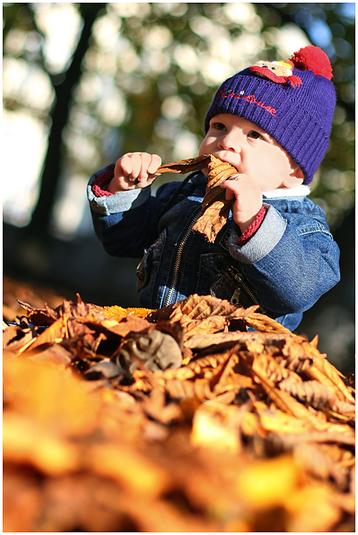 Вкус осени (color version)